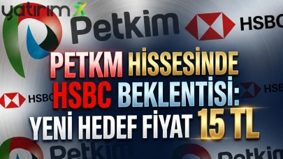 HSBC'nin PETKM için yeni hedef fiyatı 15 TL olarak açıklandı