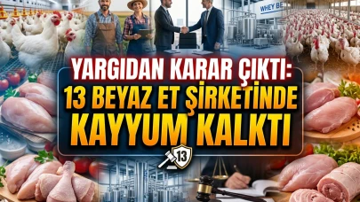 Beyaz et sektöründe 13 şirket için kayyum kararı kaldırıldı