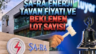 SARAE halka arzında tavan serisi sürüyor: Tavanda kaç lot var?