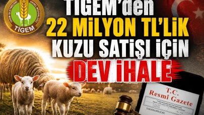 TİGEM 1800 baş erkek kuzuyu satışa çıkarıyor: İşte ihale tarihi