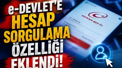 e-Devlet'e yeni özellik geldi: Tüm hesaplar tek ekranda