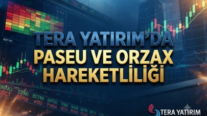 Tera Yatırım hangi hisseleri sattı? PASEU ve ORZAX listede