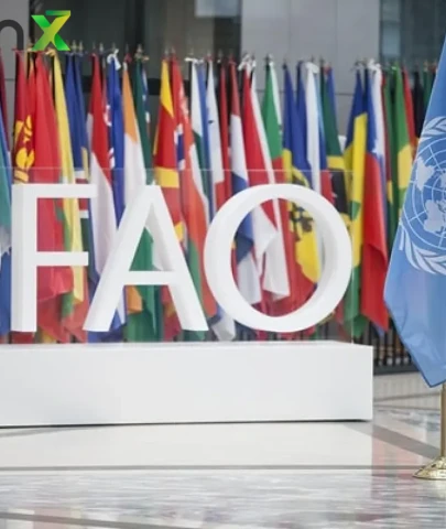 FAO Uyardı: Küresel Gıda Üretimi Rekor Kırıyor, Ancak Riskler Kapıda