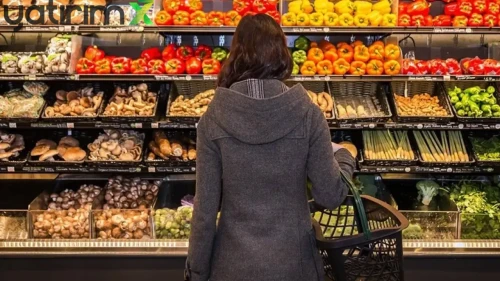 FAO Verileri Açıkladı: Şeker ve Et Fiyatları Çakıldı, Buğday Neden Yükseliyor?