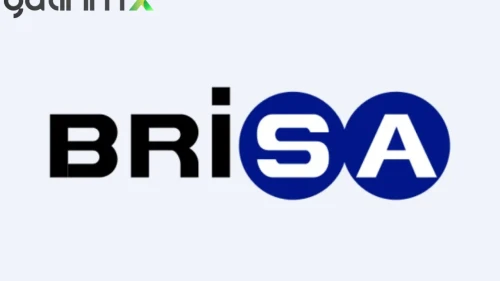 BRISA, CDP Değerlendirmesinde 'Çevreci Lider' Konumunu Güçlendirdi