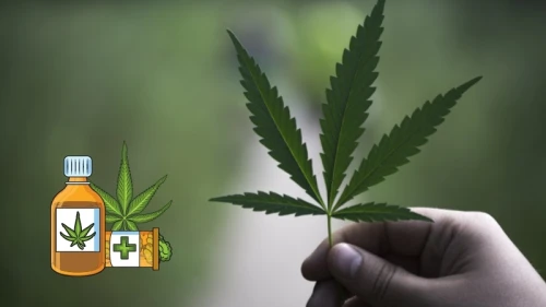 Merak Edilen Madde "THC" Nedir? THC Açılımı nedir?