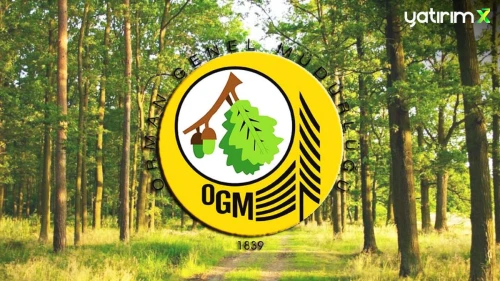 Orman Genel Müdürlüğü Sonuçları Açıklandı mı? OGM 3477 Sonuçları Ne Zaman Açıklanacak?
