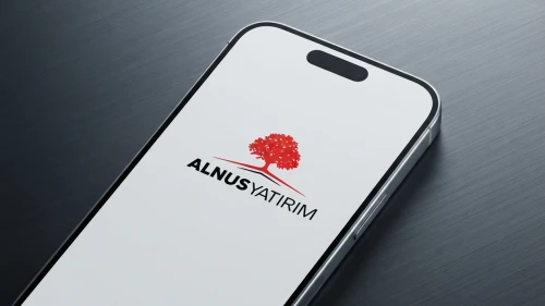 Alnus Yatırım'ın kredi notu askıya alındı: İşte gerekçesi