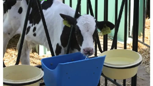 YAPRK Hissedarlarına Piyango: 100 Lot 2.100 Lot Oluyor