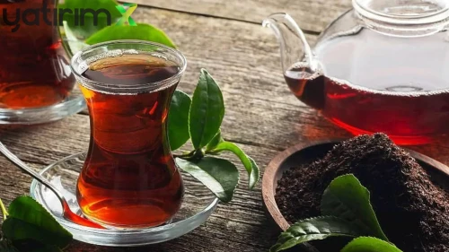 Türkiye’nin Çay İhracat Geliri Ocak’ta Yüzde 66 Yükseldi