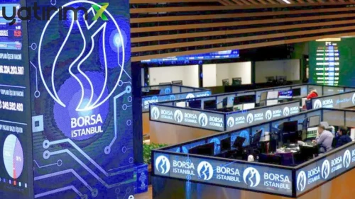 Yatırımcıya Şubat'ta En Çok Ne Kazandırdı? İşte Reel Getiri Şampiyonları