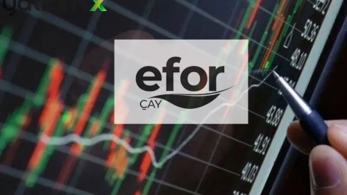 Tarımsal Üretimde EFOR Etkisi: 300 Milyon TL’lik Satış Planı Devrede