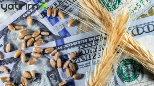 Küresel Tarım Piyasasında Savaş ve Kuraklık Alarmı: Buğday Fiyatları Hareketlendi