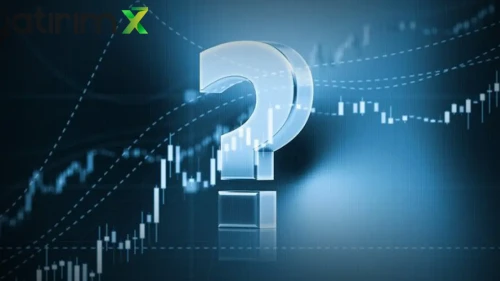 SEKFK Yatırımcısına Kâr Payı Müjdesi Gelmedi: İşte 2025 Temettü Kararı