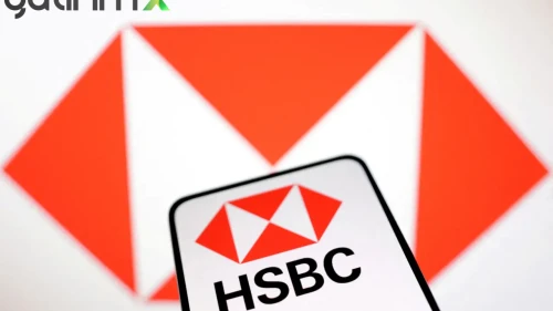 HSBC Müşterileri Borsada Hangi Hisseleri Aldı? 30 Mart İşlem Verileri