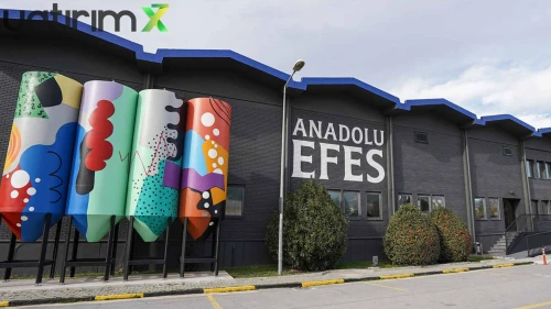 AEFES'ten İki Taksitli Temettü Müjdesi: Tarihler Netleşti!