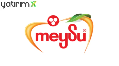 MEYSU'dan Kayseri'de Yeni Yatırım Hamlesi: İhale Teklifi Verildi