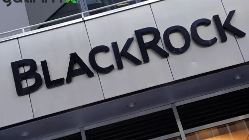 Yüksek Getiri Kalıcı mı? BlackRock Korkutan Senaryoyu Yazdı