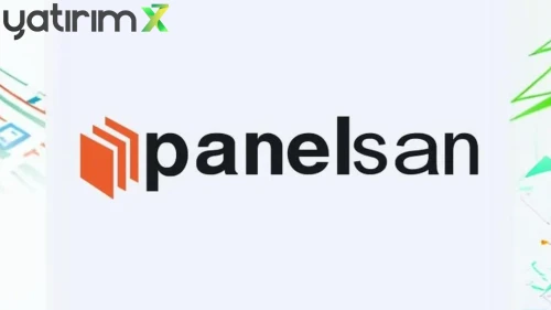 PNLSN'da Temettü Kararı: 1 TL Nominal Değerli Paya 0,58 TL Net Ödeme