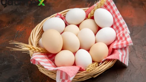 Yumurta Fiyatları Neden Düştü? Bir Ayda Yüzde 25 Gerileme