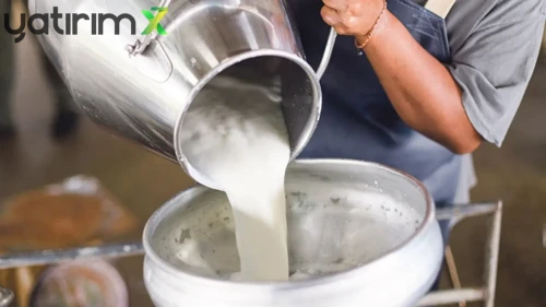 Mazot ve Yem Zamları Süt Maliyetini Yükseltti: İşte Mart Rakamları