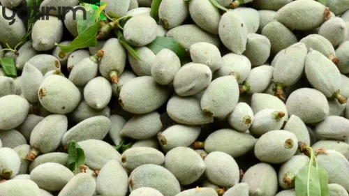 İstanbul'da Mart Ayı Gıda Raporu: Zam Şampiyonu Çağla Oldu