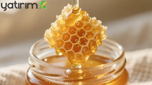 Gerçek Bal Nasıl Anlaşılacak? Bakanlığın Yeni Sistemiyle Hileye Son!