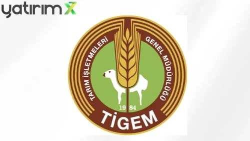 TİGEM 600 Bafra Irkı Küçükbaş Hayvan Satacak: İhale Detayları