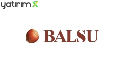 BALSU'dan Sosyal Medya İddialarına Yanıt: Maden ve Şili Gerçeği!