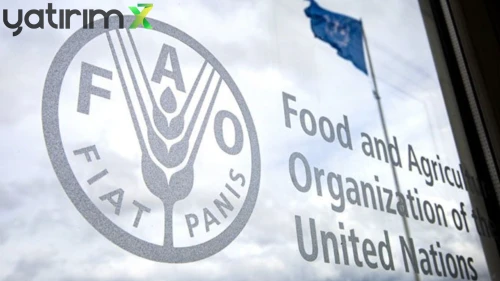 FAO verileri açıklandı: Et fiyatları rekor kırdı, artış sürüyor