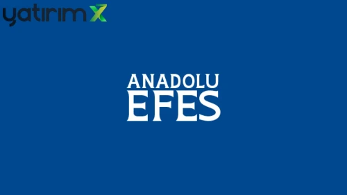 AEFES hissesi için hedef fiyat belli oldu: 31,60 TL beklentisi