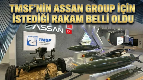 TMSF, Assan Group'u 416,5 milyon dolara satışa çıkardı