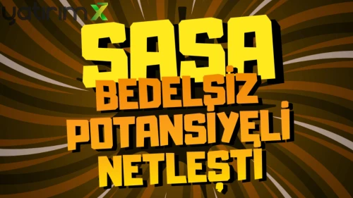 SASA bedelsiz potansiyeli netleşti! Sasa Polyester 1Ç bilançosu
