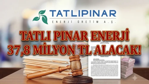 TATEN kazandı: TEİAŞ davasında 37,8 milyon TL'lik iade kesinleşti