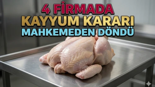 Gedik Piliç, Erpiliç, Lezita ve Keskinoğlu'nda kayyum durduruldu