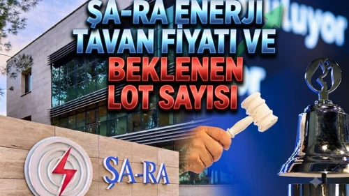 SARAE halka arzında tavan serisi sürüyor: Tavanda kaç lot var?