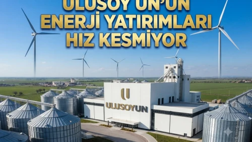 Ulusoy Un'dan RES hamlesi: Montajlar tamamlandı, ÇED onayı geldi