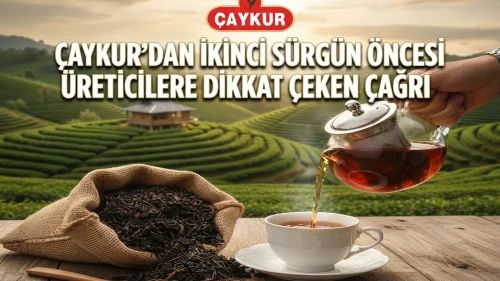 ÇAYKUR'dan üreticiye 2. sürgün uyarısı: Önemli duyuru