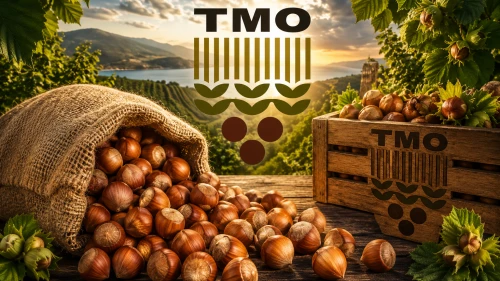 2026 TMO fındık alım fiyatları açıklandı: Giresun 255 TL
