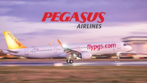 Pegasus (PGSUS) İçin Dev Hedef Fiyat: %100 Prim Potansiyeli