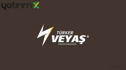 Türker Vangölü Enerji halka arz kişi başına düşen olası lot miktarı: Katılım endeksine uygun mu, kaç lot verir?