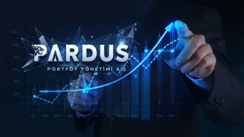 Pardus Portföy'ün A1 Yenilenebilir Enerji payı yüzde 10 oldu
