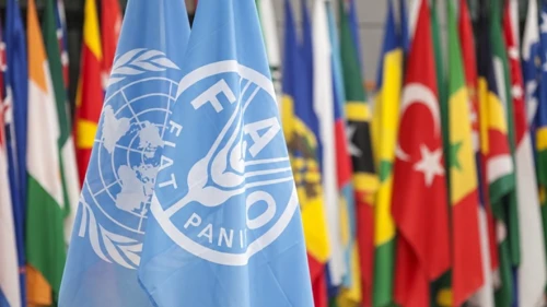 Mehdi Eker'den FAO adaylığı açıklaması: 100 ülke ile temas