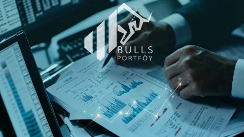 Bulls Portföy’ün BOS fonunda sert kayıp: Bir haftada yüzde 16,7 düştü