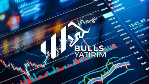 Bir haftada yüzde 20, bir yılda yüzde 44 kaybettiren Bulls fonunun portföyü açıklandı