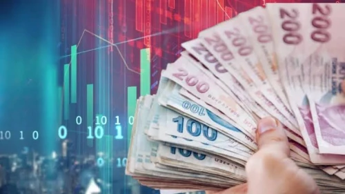 Dev bankadan kritik rapor: Fonlardan çıkan para TL mevduatta