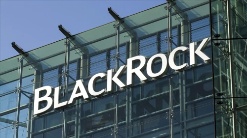 BlackRock duyurdu: Gelişen piyasa hisselerinde ağırlık artır dönemi