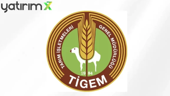 TİGEM 600 Bafra Irkı Küçükbaş Hayvan Satacak: İhale Detayları