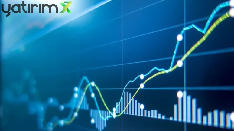 TEHOL Hisseleri Neden Çakıldı? Tabanı Getiren Olay KAP’tan mı Geldi?