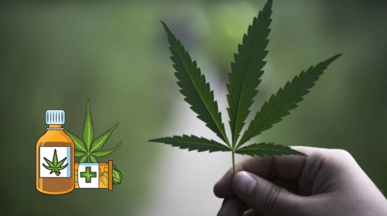 Merak Edilen Madde "THC" Nedir? THC Açılımı nedir?